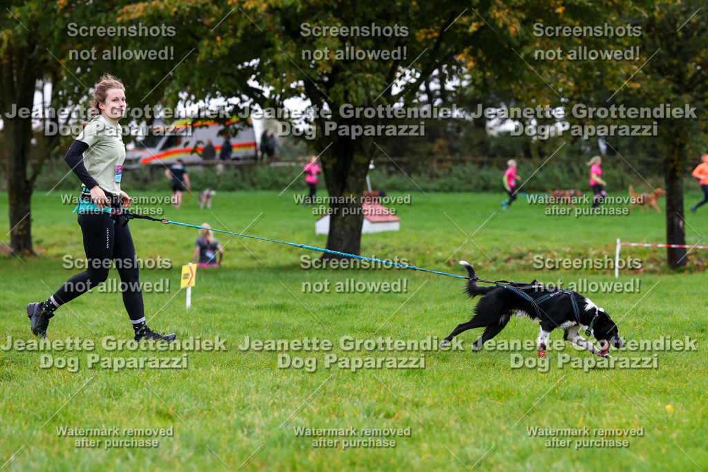 Dog Paparazzi -  SD1026-1248 | Dog Paparazzi Jeanette Grottendiek Fotografie & Videografie - Realisiert mit Pictrs.com