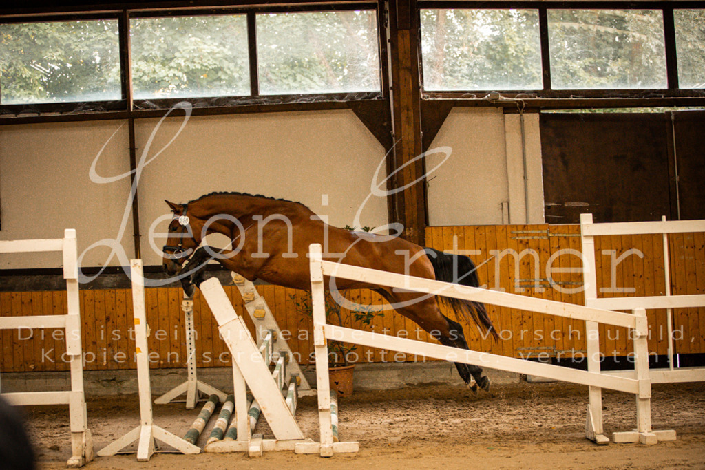 2FS_L00125 | Leoni Ertmer Photography - Realisiert mit Pictrs.com