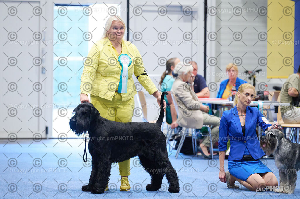 202406_ÖKV-IHA-Tulln24_DSC_2912 | proPHOTO - Realisiert mit Pictrs.com