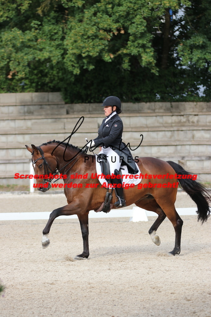 IMG_6144 | lmwpictures - Realisiert mit Pictrs.com