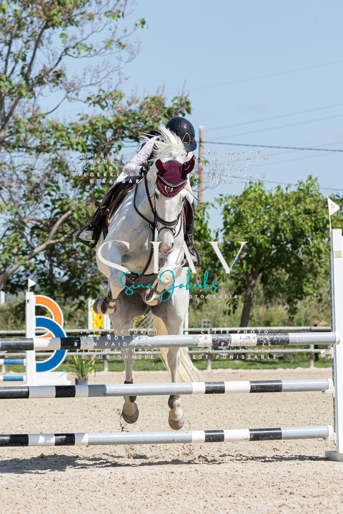 IMG_0716 | s-jay-photography - Realized with Pictrs.com