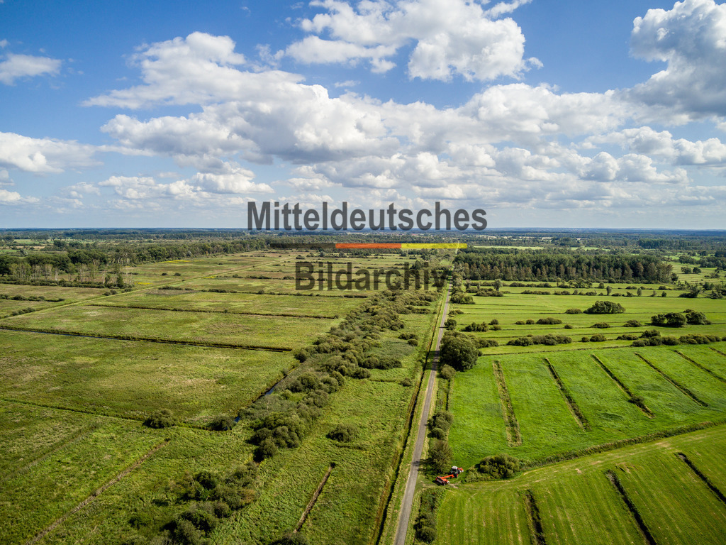 innerdeutsche Grenze Grünes Band Drömling-0015 | Die innerdeutsche deutsch-deutsche Grenze, das Grüne Band - Realisiert mit Pictrs.com