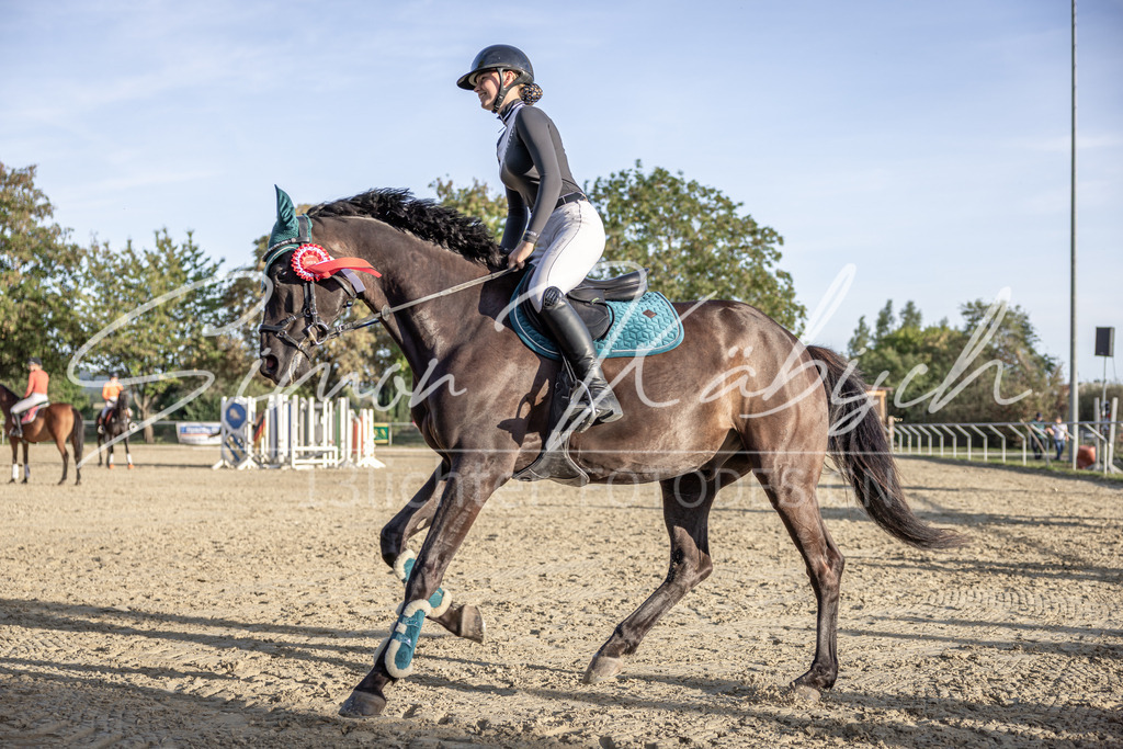 20250907-_3LI5005 | Tierfotografie Pferde, Hunde, Katzen, Haustiere.
Turnierfotografie Reitturniere, Reiten, Springreiten, Dressur in Hanau, dem Main-Kinzig-Kreis und dem Rhein-Main- Gebiet um Frankfurt