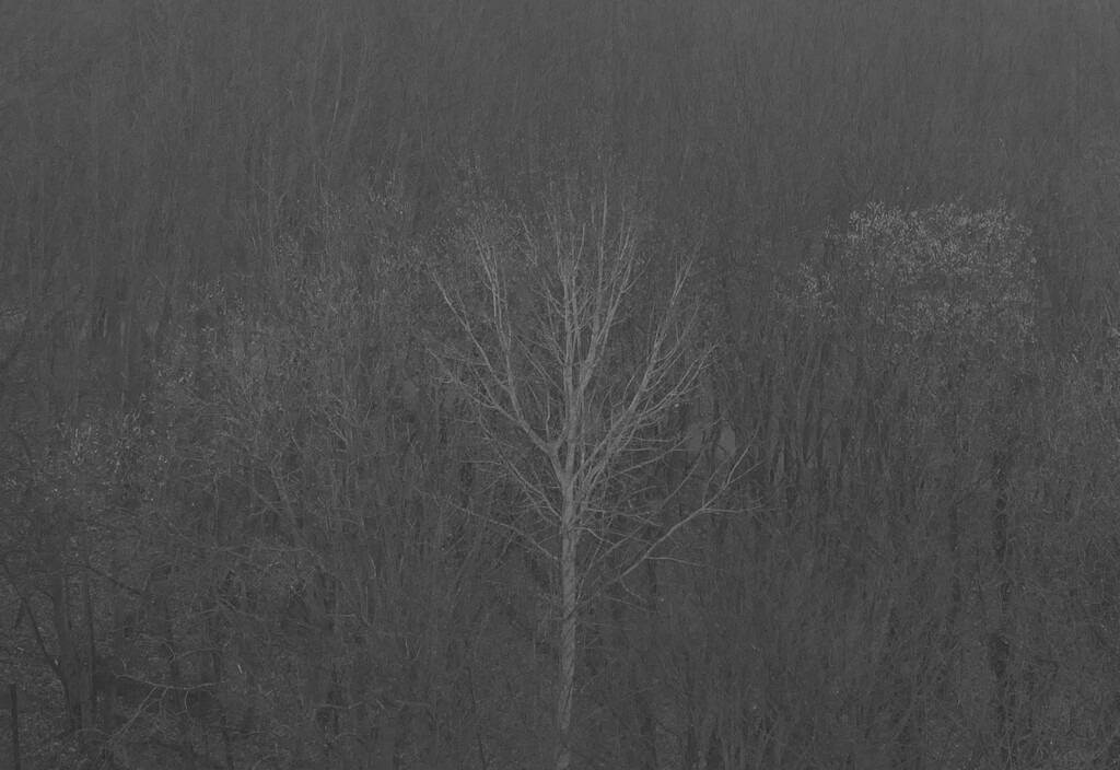 P1660748_a | Annaeherungen - Realisiert mit Pictrs.com
