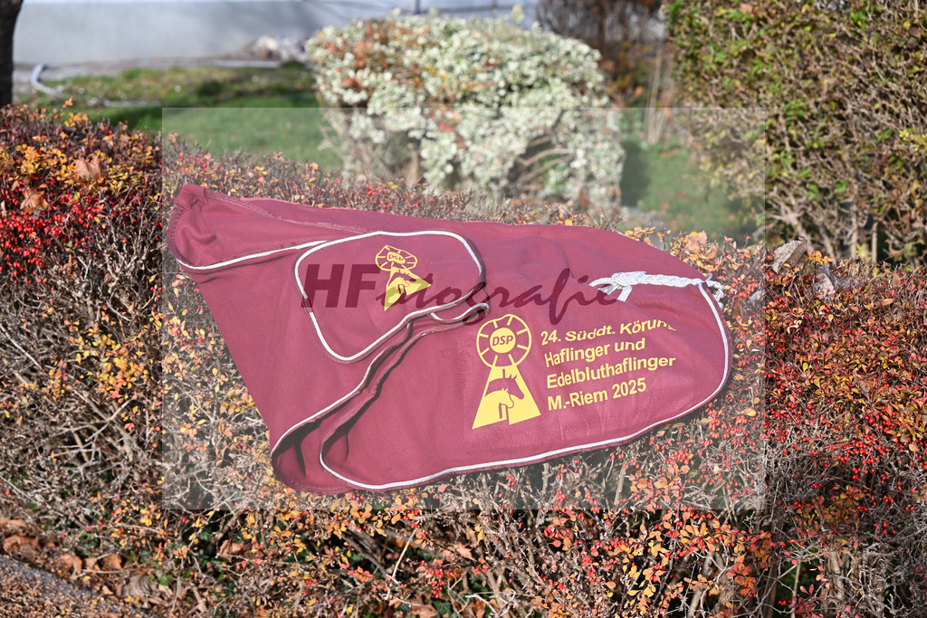 Impressionen Koerung_48250895 | hf-fotografie - Realisiert mit Pictrs.com