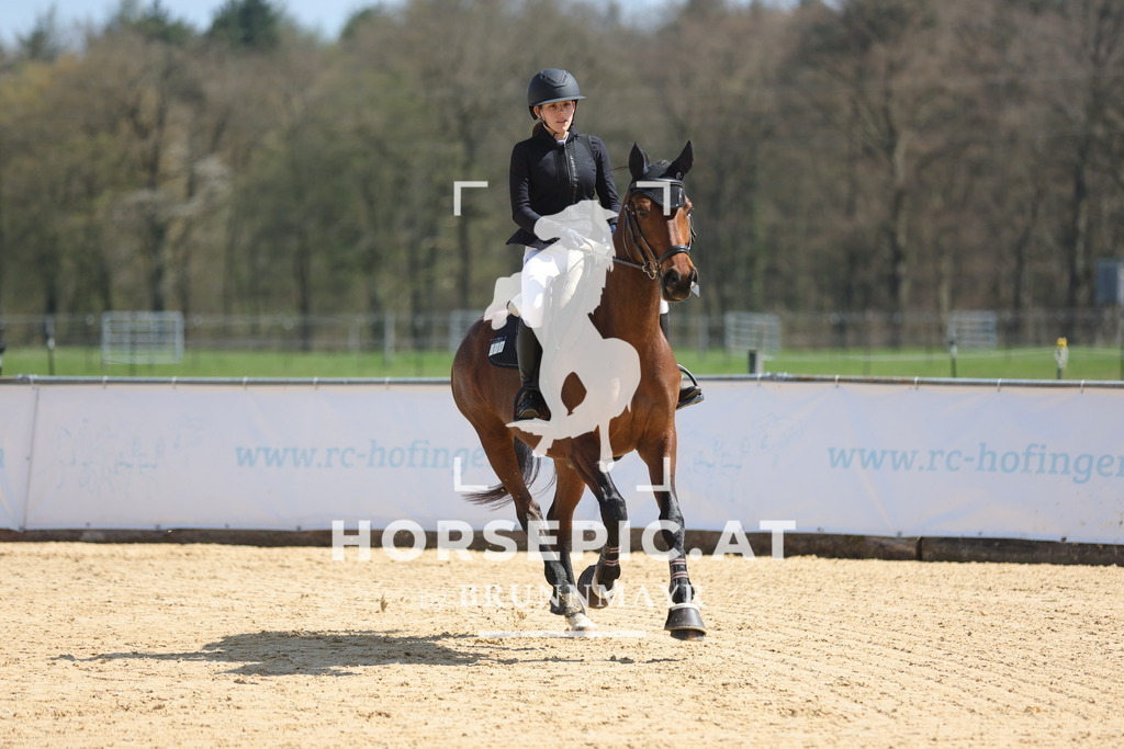 0P6A0350 | Willkommen bei Brunnmayr - Design & Fotografie – Ihrem Spezialisten für Reitturniere und Pferdeveranstaltungen in Oberösterreich, Salzburg und Bayern! Seit über 17 Jahren sind wir leidenschaftlich dabei.