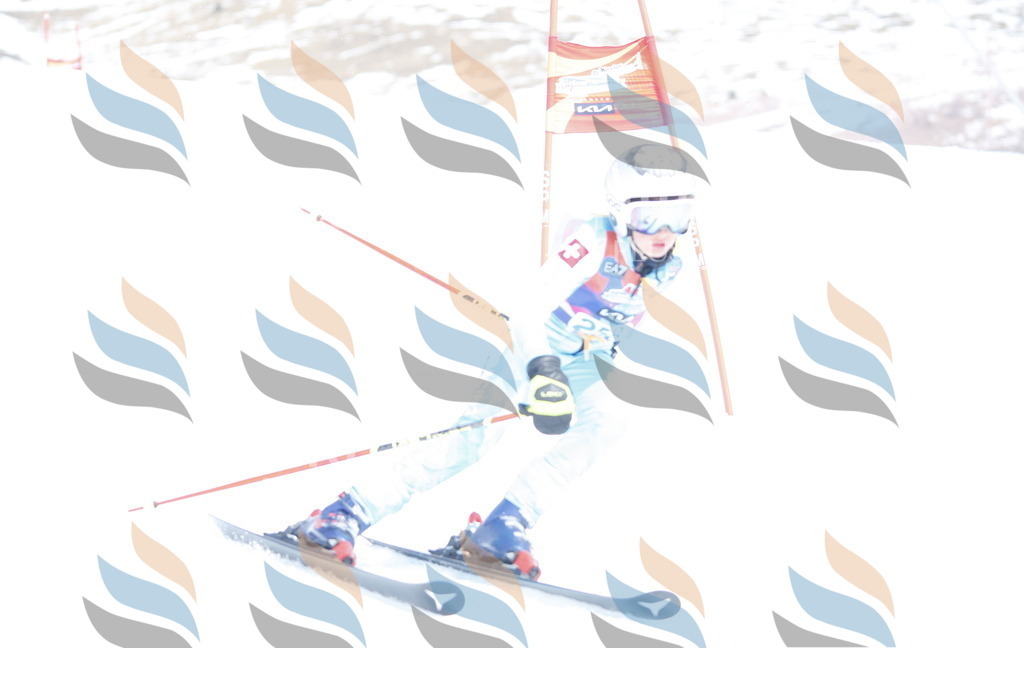 _W1G2950 | holidayphoto