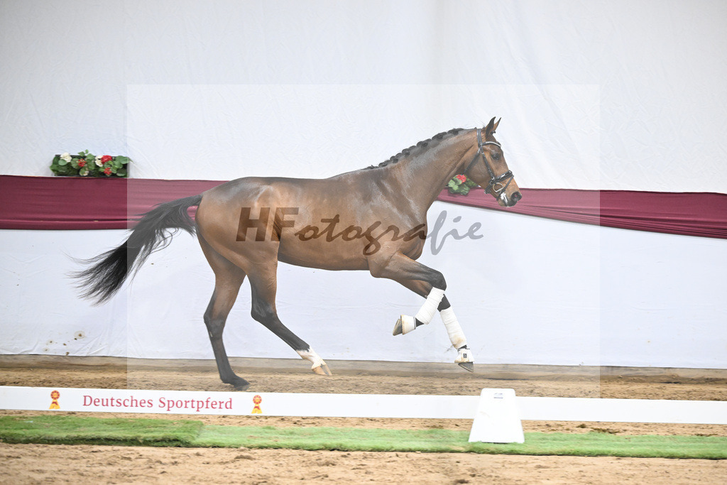 Kat-Nr. 43 Va Pensiero x Secret_Philipp Stuppert_47251522 | hf-fotografie - Realisiert mit Pictrs.com