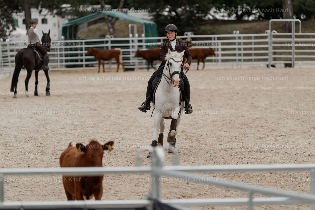 WE__Stoib_Rinder_PI2025_3185 | Pferd International München 2025