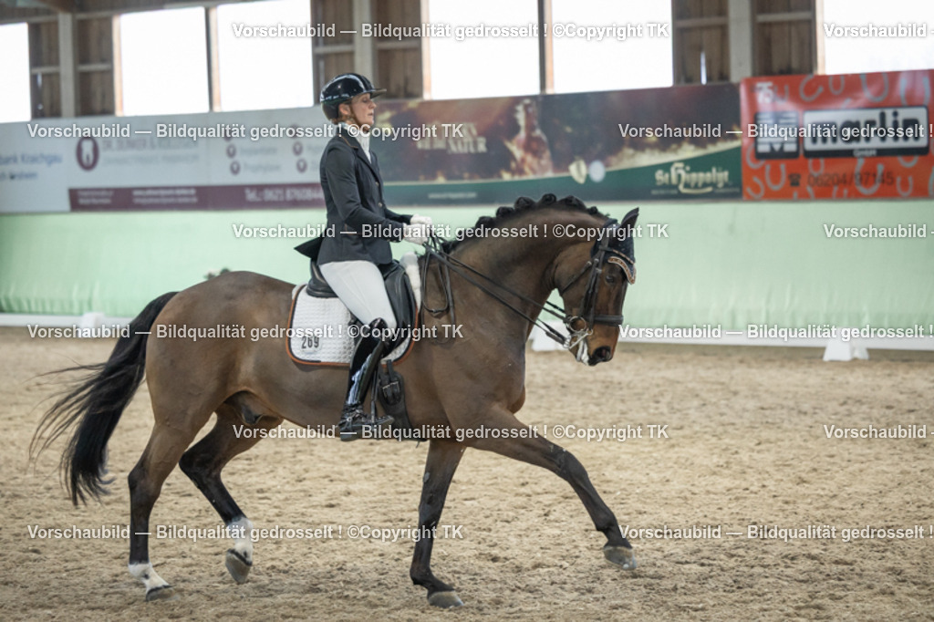 _D5A3490 | Emotionale Pferde- & People-Fotografie rund um Heidelberg, Leimen & Umgebung. Natürliche Fotos von Pferd, Mensch & Familie. Jetzt Termin sichern!