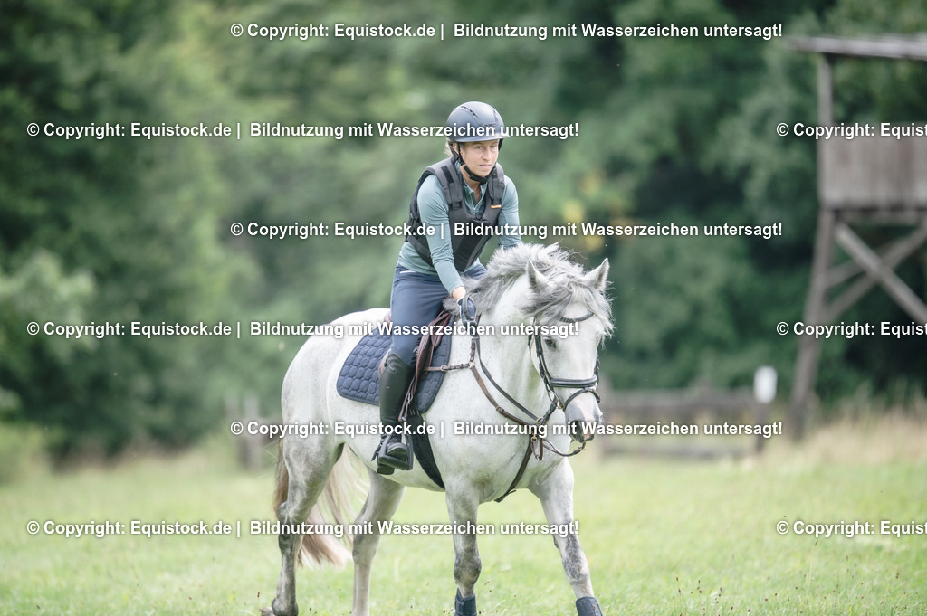 20250726_Vielseitigkeitslehrgang-Marbach_0549 | Foto: Thomas Hartig