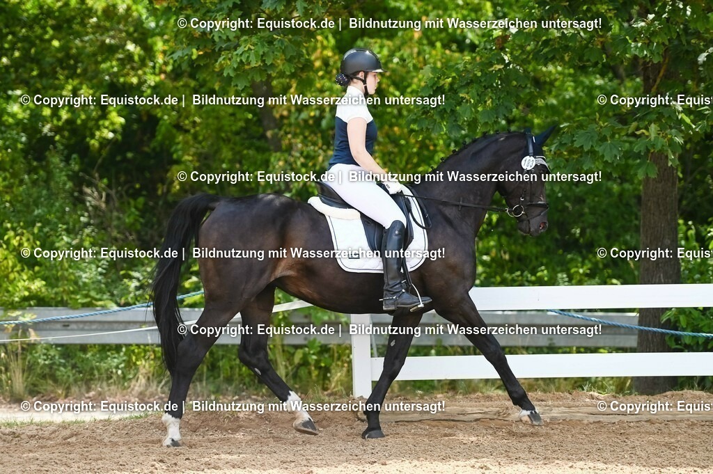 20230715_09_Dressur-WB_0208 | equistock