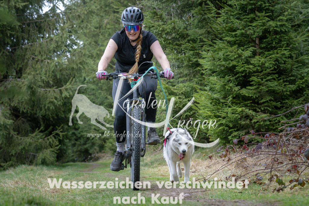 1317_ZZ94131 | kk-dogfotos