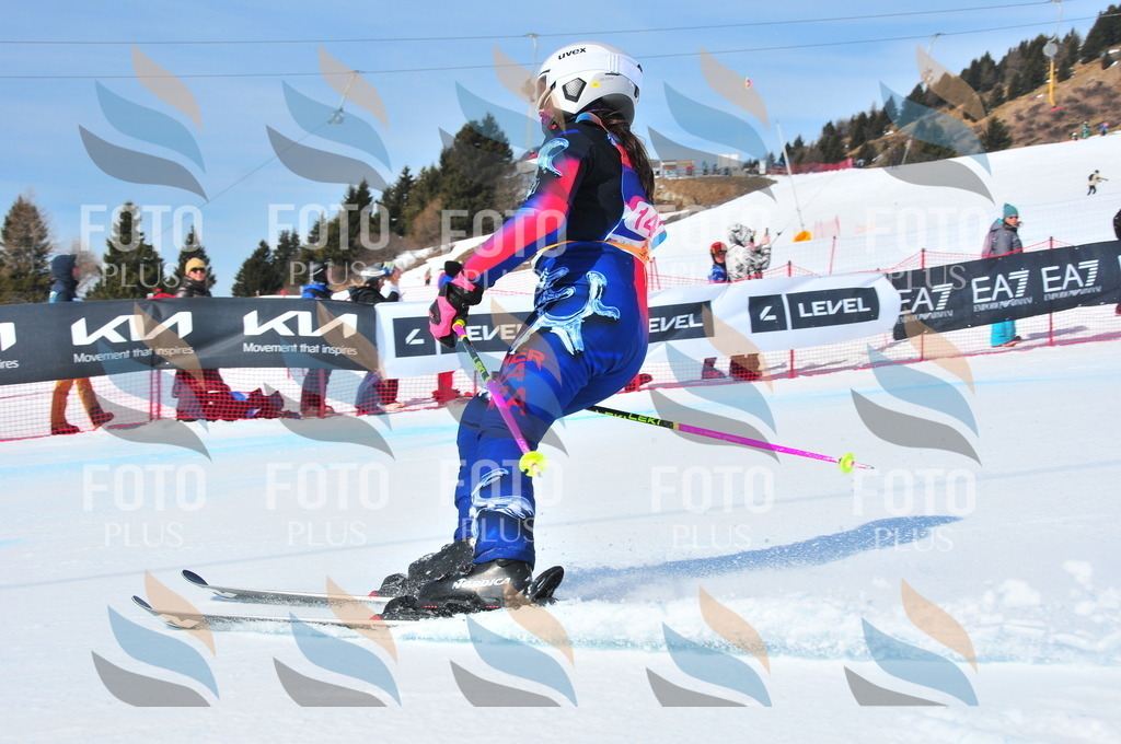 DSC_4990 | holidayphoto