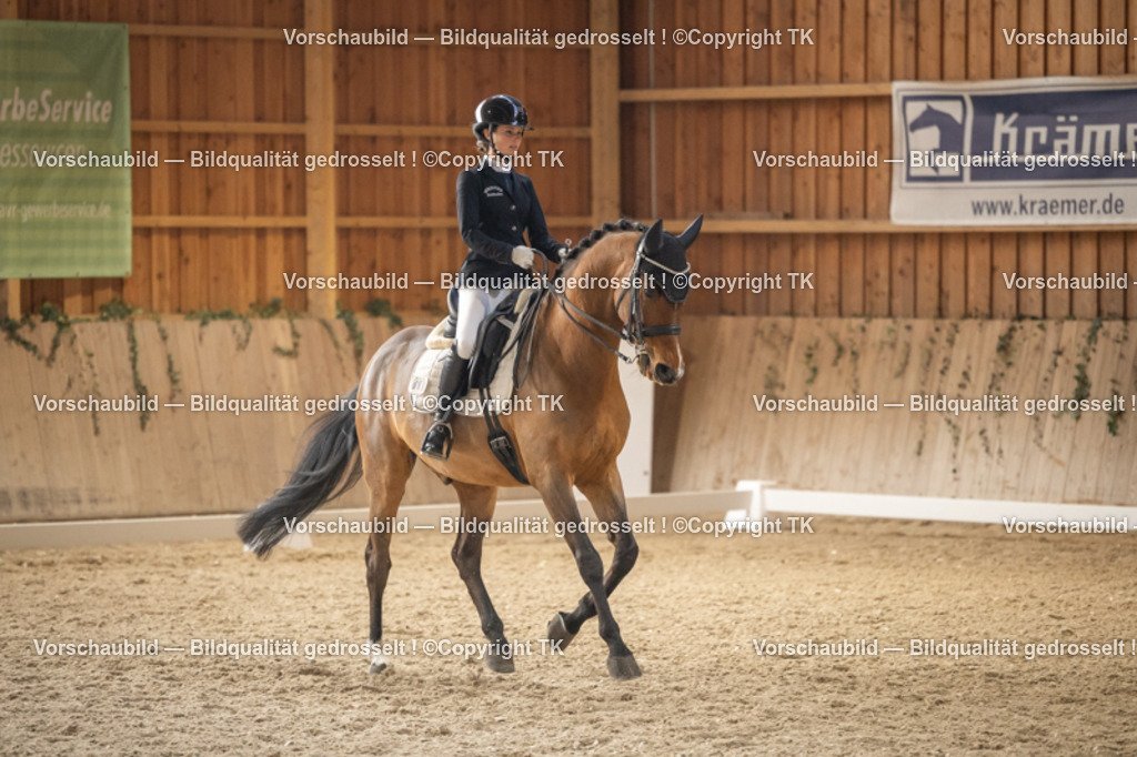 _D5A6596 | Emotionale Pferde- & People-Fotografie rund um Heidelberg, Leimen & Umgebung. Natürliche Fotos von Pferd, Mensch & Familie. Jetzt Termin sichern!