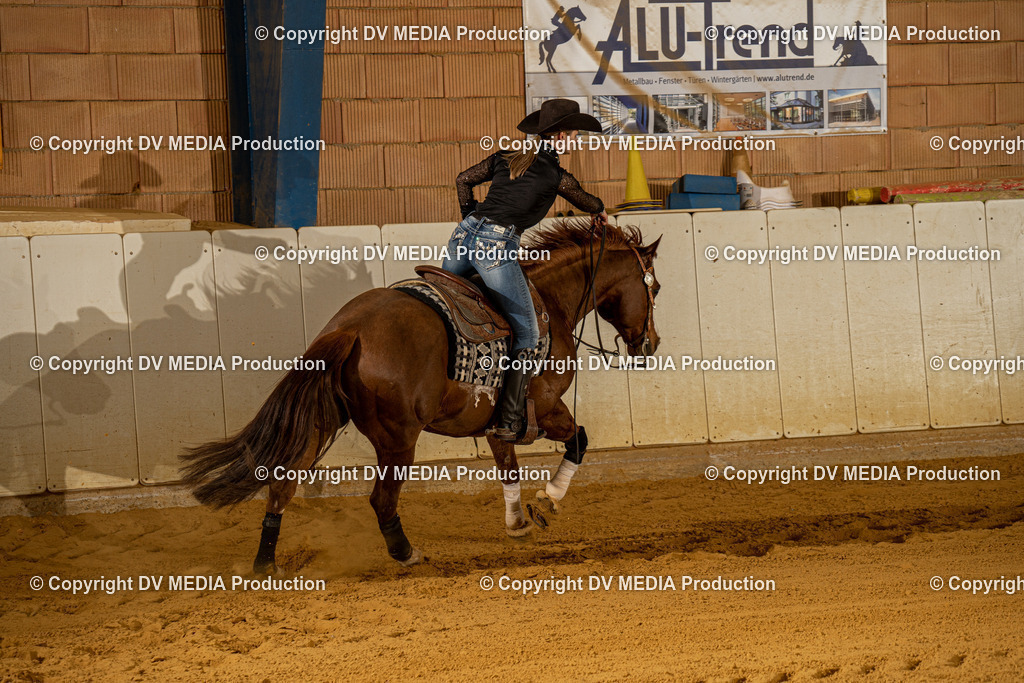 MIT00577 | dv-media-shop - Realisiert mit Pictrs.com