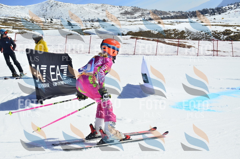 _ELE0317 | holidayphoto