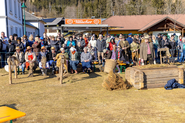 Bärentreiben in Steuerberg | Bildershop von pixelworld.at - Realisiert mit Pictrs.com