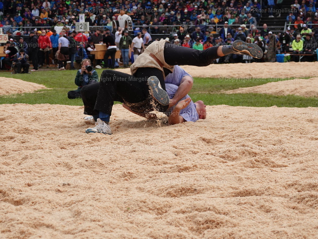 DSC08001 | Schwingen - Realisiert mit Pictrs.com