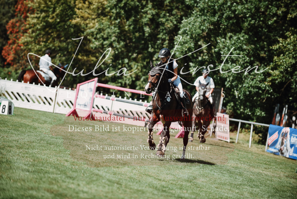 DSC_3176 | Pferde- und Turnierfotografie in Westsachsen. Pferdeportraits, Auftragszeichnungen und intuitive Kunst.