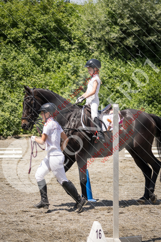 IMG_3544 | Sport-, Event- und Tierfotos in Profiqualität. Einfach auswählen, bestellen und herunterladen. Dein Moment – perfekt festgehalten.