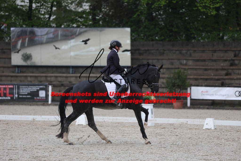 A40A7773 | lmwpictures - Realisiert mit Pictrs.com