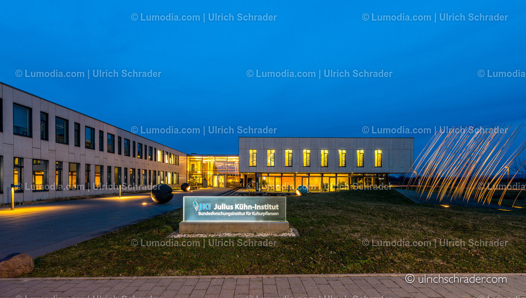 _ulrichschrader.com-199 | Stockfoto und Bilderpool mit Bildmaterial aus Deutschland, dem Harz, Halberstadt, Quedlinburg, Wernigerode und weltweit. Qualitativ hochwertige und professionelle Fotos anschauen und kaufen. - Realisiert mit Pictrs.com