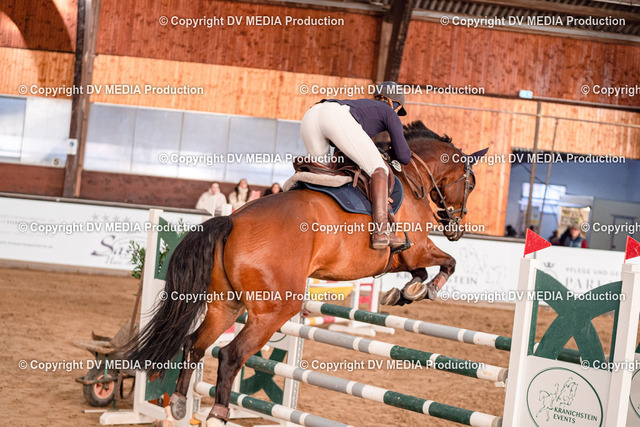 Kranichstein Tag 3-1050 | dv-media-shop - Realisiert mit Pictrs.com