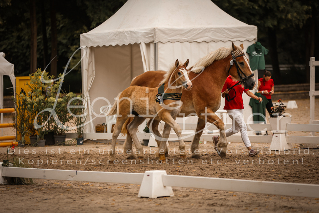 SaHF00156 | Leoni Ertmer Photography - Realisiert mit Pictrs.com