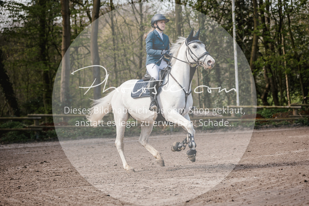 3I6A4002 | Stimmungsvolle Portraits und Reitsportfotografie im Ruhrgebiet und im Münsterland.

Pferdefotografie, Hundefotografie, Tierfotografie, Reportagen, Portraits von Tier und Mensch, Turnierfotografie in Bochum, Recklinghausen, Marl, Haltern am See, Dülmen.. - Realisiert mit Pictrs.com