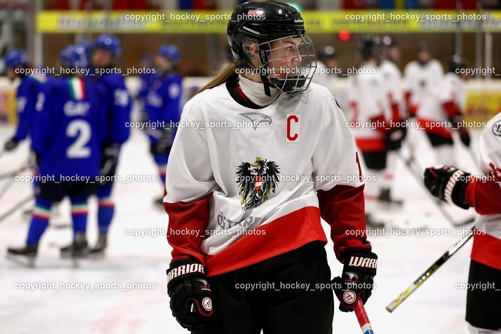 MOWE3393 | hockey sports photos, Pressefotos, Sportfotos, hockey247, win 2day icehockeyleague, Handball Austria, Floorball Austria, ÖVV, Kärntner Eishockeyverband, KEHV, KFV, Kärntner Fussballverband, Österreichischer Volleyballverband, Alps Hockey League, ÖFB, 