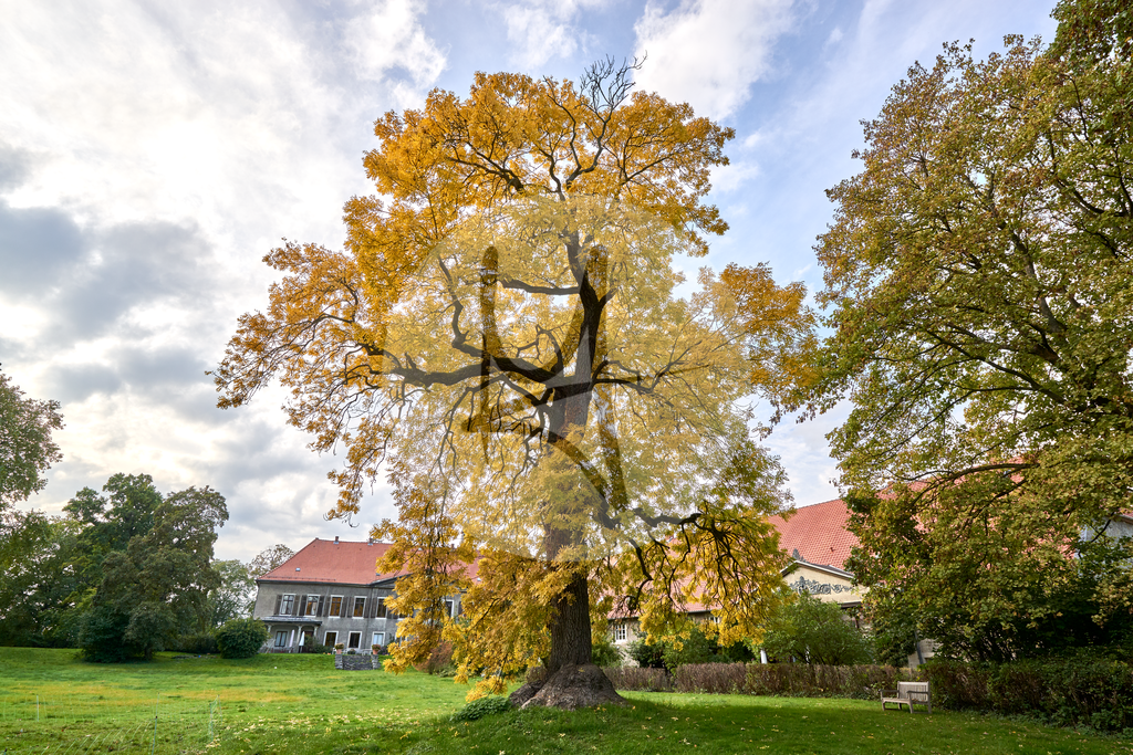 Gutshof Luklum #nhavo | Meurer Shop - Realisiert mit Pictrs.com