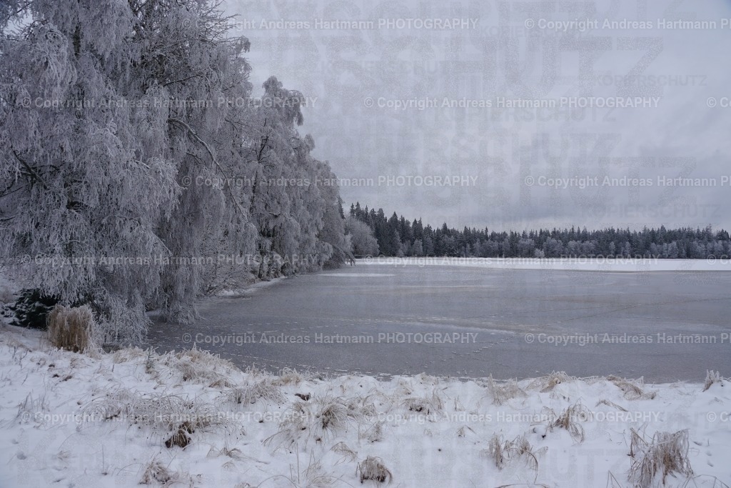 Kladska-See im Winter | Kladska-See im Winter - Realisiert mit Pictrs.com