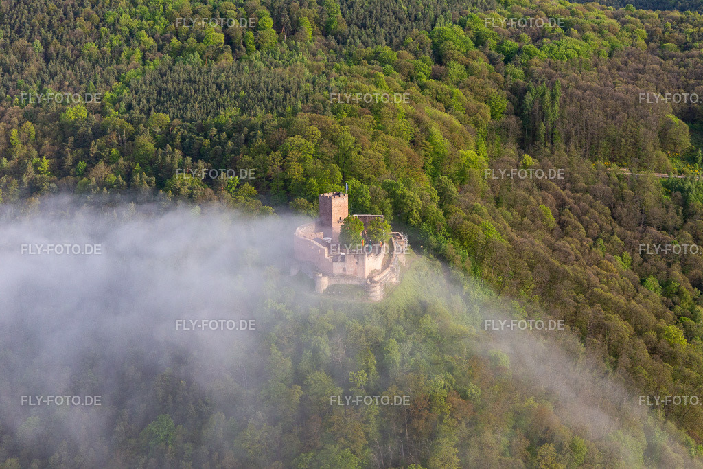 Burg Landeck im Morgennebel | Luftbild: Burg Landeck im Morgennebel in Klingenmünster im Bundesland Rheinland-Pfalz in Deutschland. Foto: IMG_113756.jpg vom 29.04.2019 durch Werner Riehm/FLY-FOTO.de - Realisiert mit Pictrs.com
