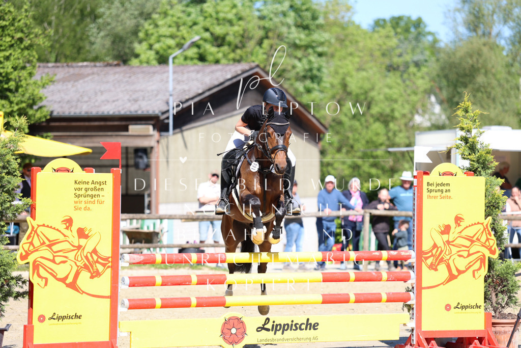 IMGS6980 | pl-fotografie