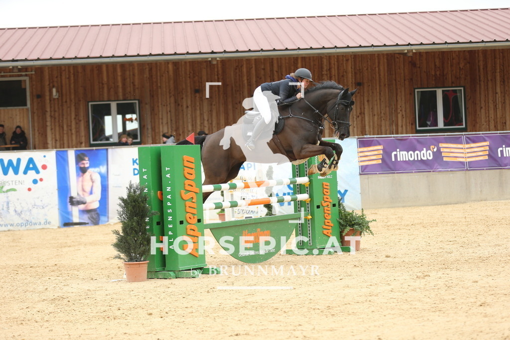 DL2Q5751 | Willkommen bei Brunnmayr - Design & Fotografie – Ihrem Spezialisten für Reitturniere und Pferdeveranstaltungen in Oberösterreich, Salzburg und Bayern! Seit über 17 Jahren sind wir leidenschaftlich dabei.