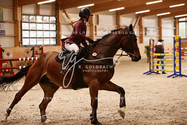 1J2A6050Juliane Weihs_ Cryptonit_ Kn191_ Glantz_ Hohen Wieschendorf | Foto- und Videografie für alles rund ums Pferd. Hochwertige Bilder und Videos vom Spring- und Dressurreiten, Voltigieren & mehr. Jetzt aktuelle Veranstaltungen und Preise im Shop ansehen. - Realisiert mit Pictrs.com