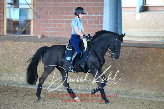 DKP42716 | Turniersportfotografie; Pferdefotografie; Dressurfotografie