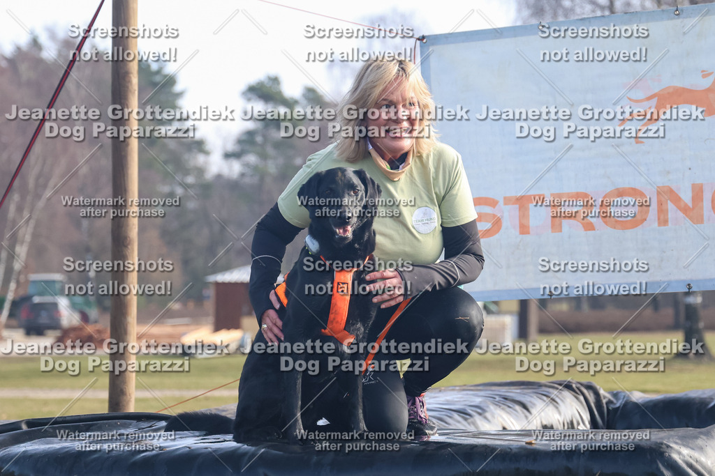 Dog Paparazzi - Strongdog North Mrz26-435 | Dog Paparazzi Jeanette Grottendiek Fotografie & Videografie - Realisiert mit Pictrs.com
