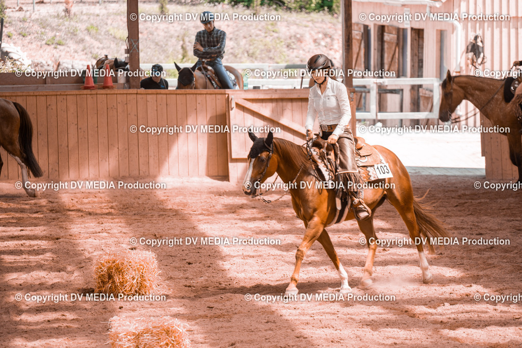 NE300372 | dv-media-shop - Realisiert mit Pictrs.com