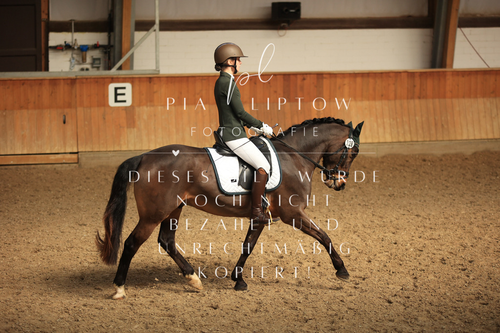 IMGT5013 | pl-fotografie