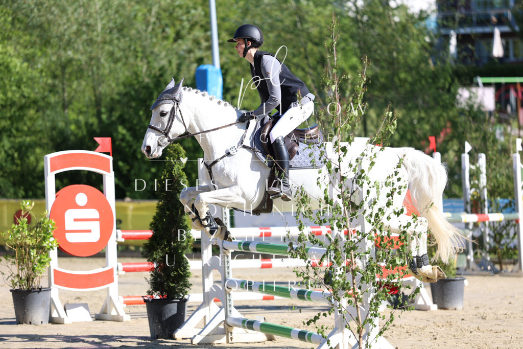 IMGS6366 | pl-fotografie