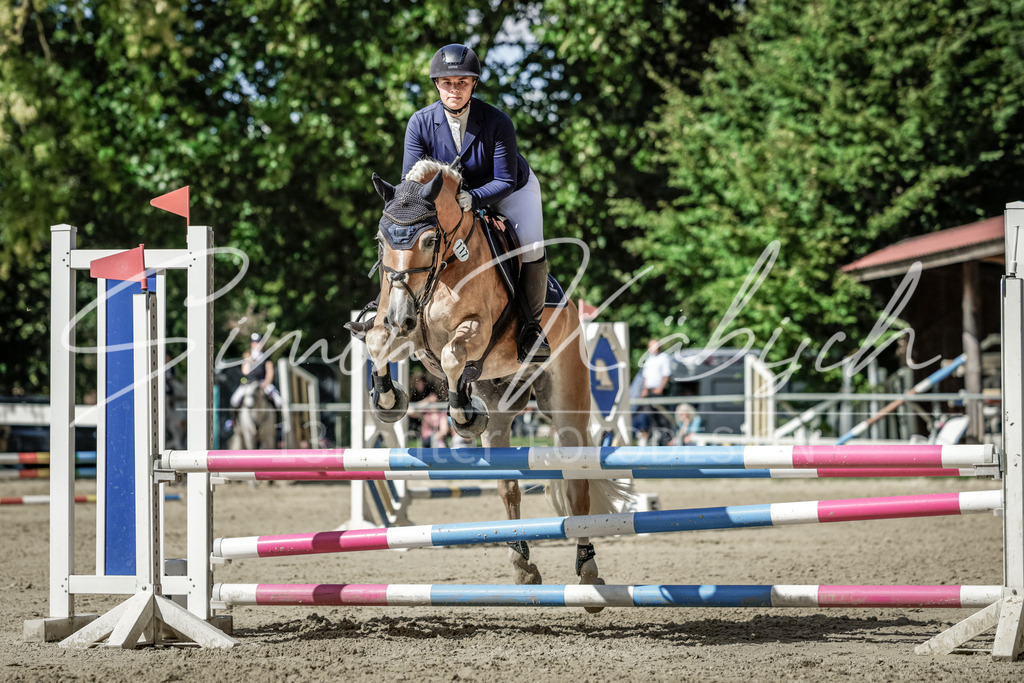 20250906-_3LI6382 | Tierfotografie Pferde, Hunde, Katzen, Haustiere.
Turnierfotografie Reitturniere, Reiten, Springreiten, Dressur in Hanau, dem Main-Kinzig-Kreis und dem Rhein-Main- Gebiet um Frankfurt