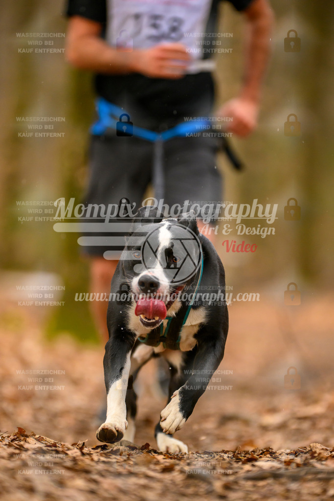 MompixPhotography_Habay2025_SA_CCC-312 | PayLife