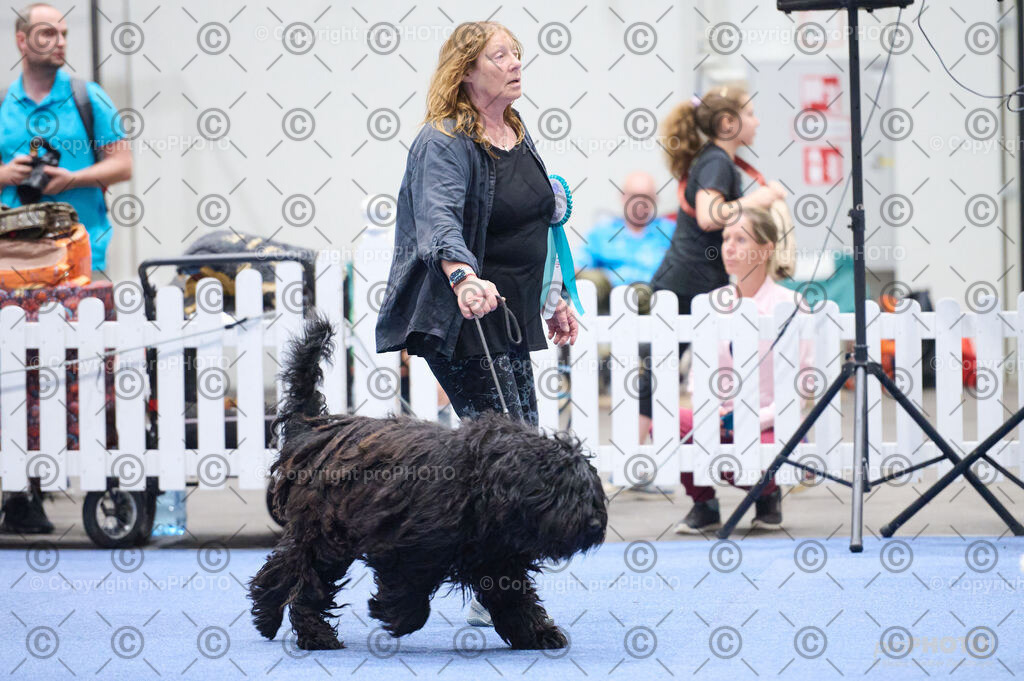 202406_ÖKV-IHA-Tulln24_DSC_2849 | proPHOTO - Realisiert mit Pictrs.com