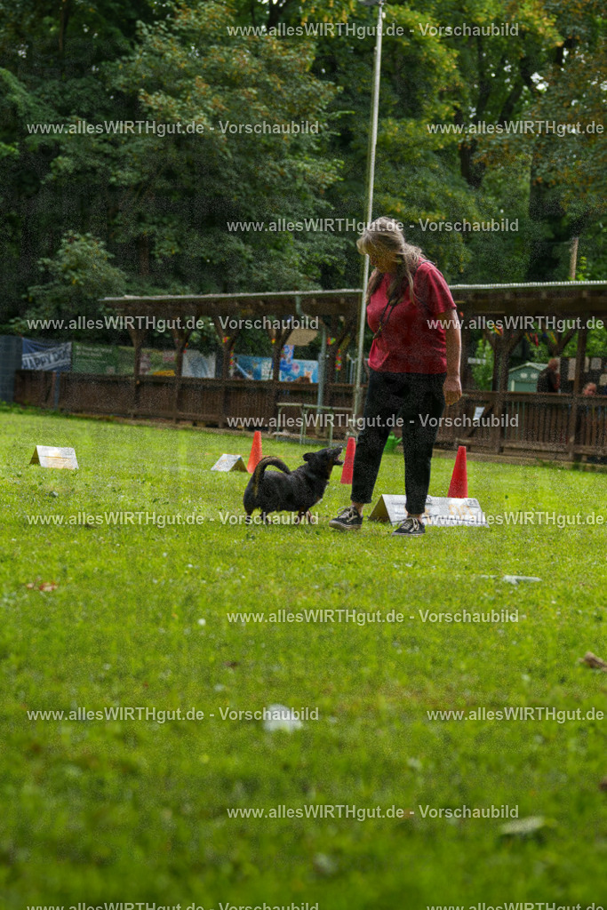 @allesWIRTHgut_Tierfotografie - www.allesWIRTHgut.de - 090405-7R506489 | Professionelle Tierfotografie in Mönchengladbach von Daniel Wirth (allesWIRTHgut). Liebevolle & natürliche Bilder von Hunden & Katzen für unvergessliche Erinnerungen.