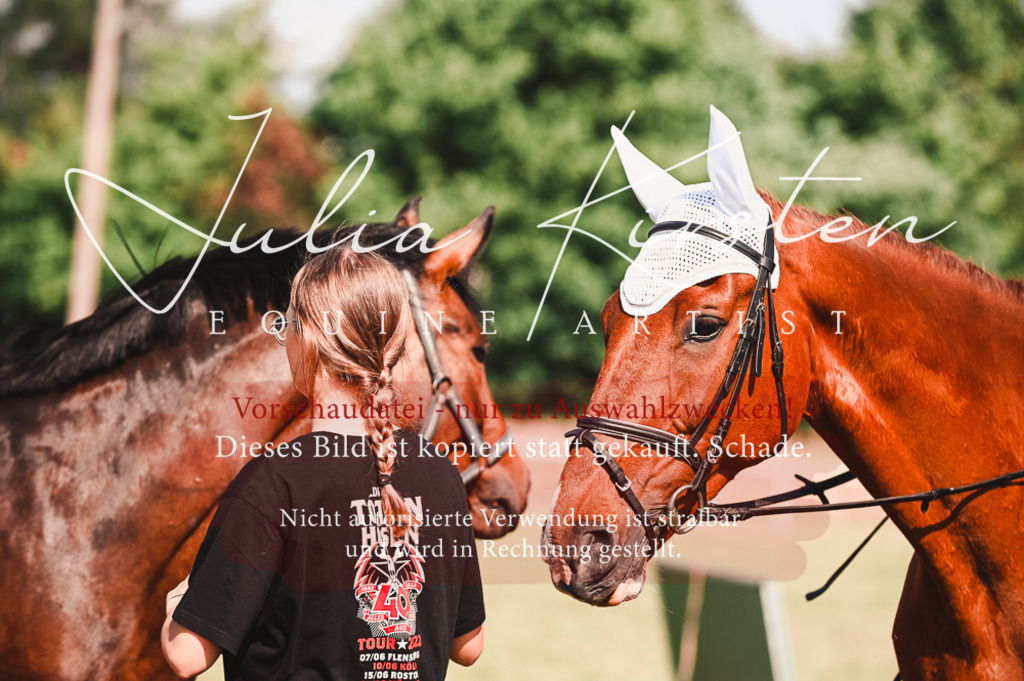 DSC_7386 | Pferde- und Turnierfotografie in Westsachsen. Pferdeportraits, Auftragszeichnungen und intuitive Kunst.