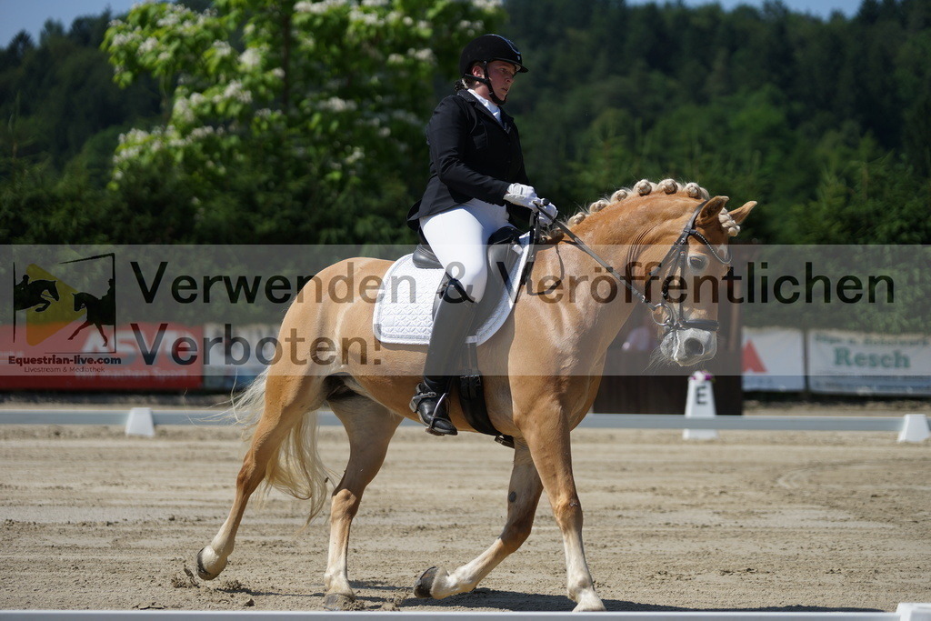 DSC02217 | equestrian-live-com