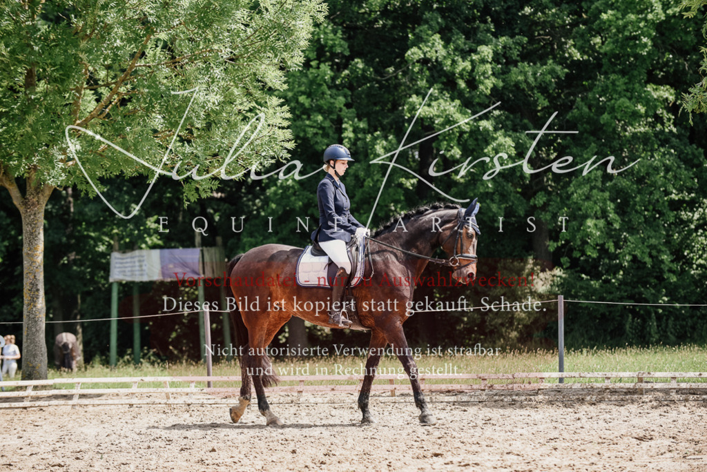 DSC_1471 | Pferde- und Turnierfotografie in Westsachsen. Pferdeportraits, Auftragszeichnungen und intuitive Kunst.