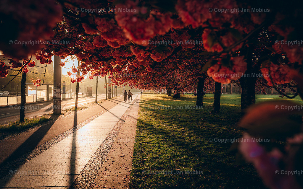 _DSC1754 | Leipzig Wandbilder Drucke Prints Leinwand Stadtmotive Leipzig Fotosdruck Kunstdrucke Bilder Leipzig Stadtansichten Acrylglasbilder Leipzig Wanddeko Fine Art Prints Wandbilder Büro Leipzig Bilder Praxis Zuhause Bilderdruck Poster Posterlounge Kunstdrucke - Realisiert mit Pictrs.com